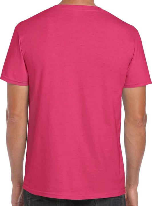 Actual product image Gildan Mens Short Sleeve Soft-Style T-Shirt (M)