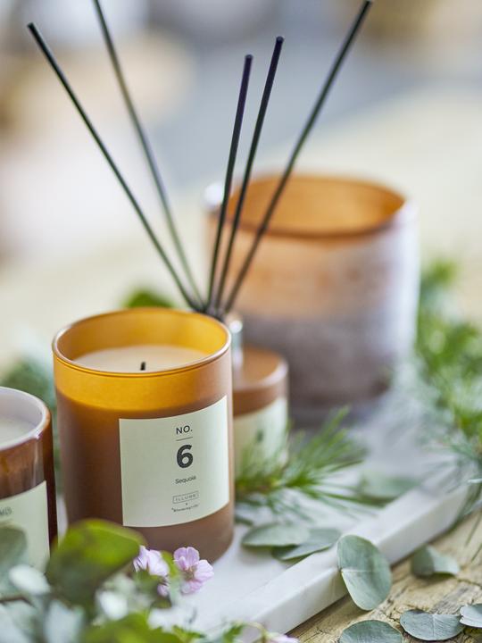 Actual product image Illume x Bloomingville NO. 6 - Sequoia (210 g)
