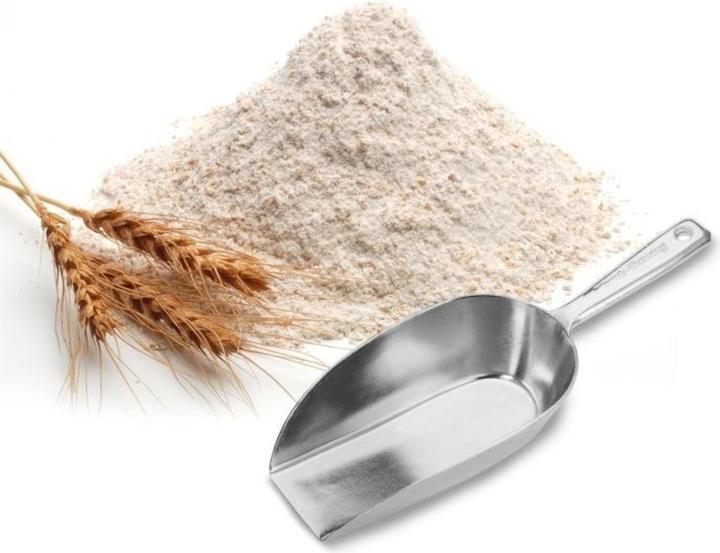 Image du produit Westmark Pelle à farine Hygia
