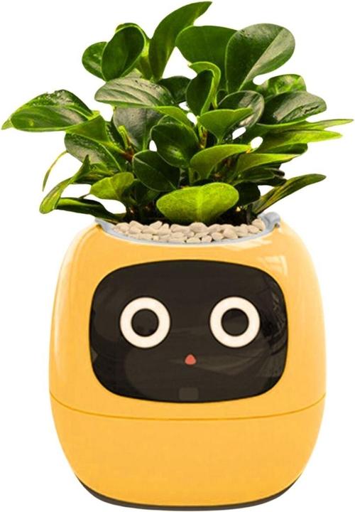 Actual product image Hermex Electronic flower pot Smart flower pot (11 cm)
