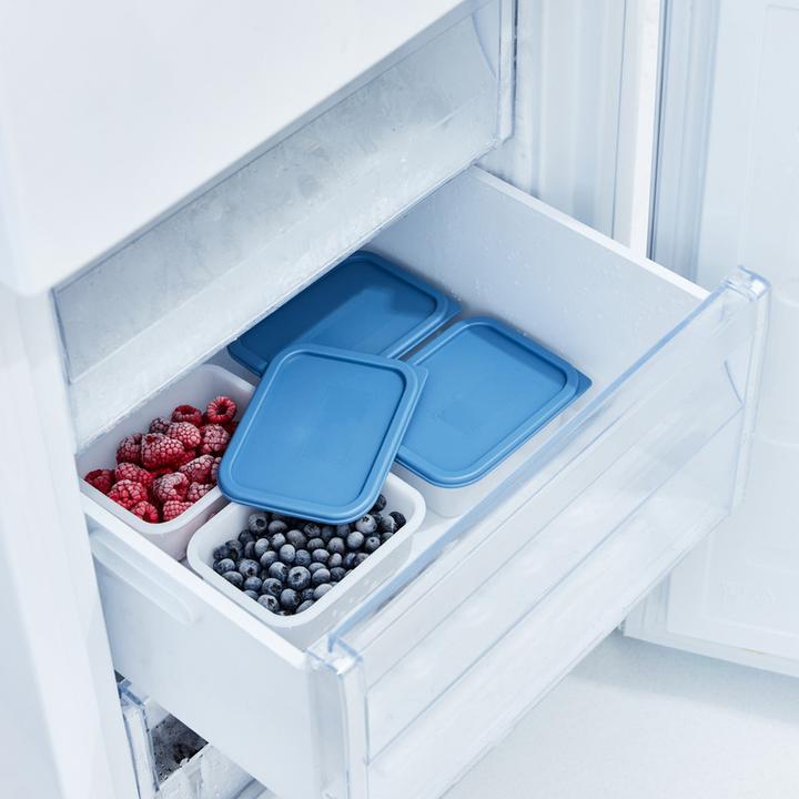 Productafbeelding Rotho Gefrierdosen Set (0.50 l)