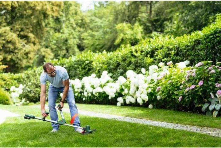 Actual product image Bosch Home & Garden UniversalGrassCut 18V-26 (Trim line)