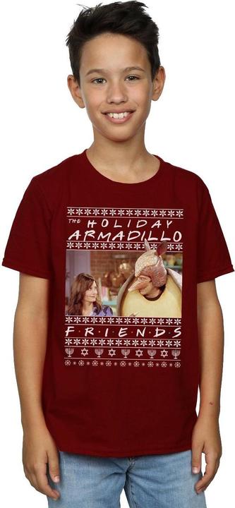 Actual product image Friends Boys Fair Isle Holiday Armadillo T-Shirt (152, 158)