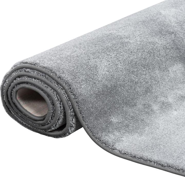 Produktbild Snapstyle Hochflor Luxus Velours Teppich Touch (80 x 400 cm)