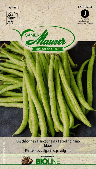 Produktbild Samen Mauser BIO Buschbohne Maxi (Keimlinge)