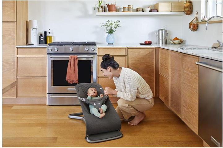 Produktbild Ergobaby Evolve 3in1 Babywippe