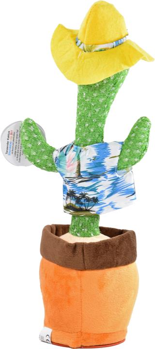 Produktbild Kögler Tanzender Kaktus (34 cm)