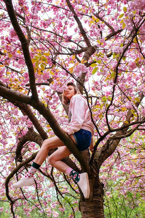 Produktbild Many Mornings Cherry Blossom (Einzelpack, 39 - 42)