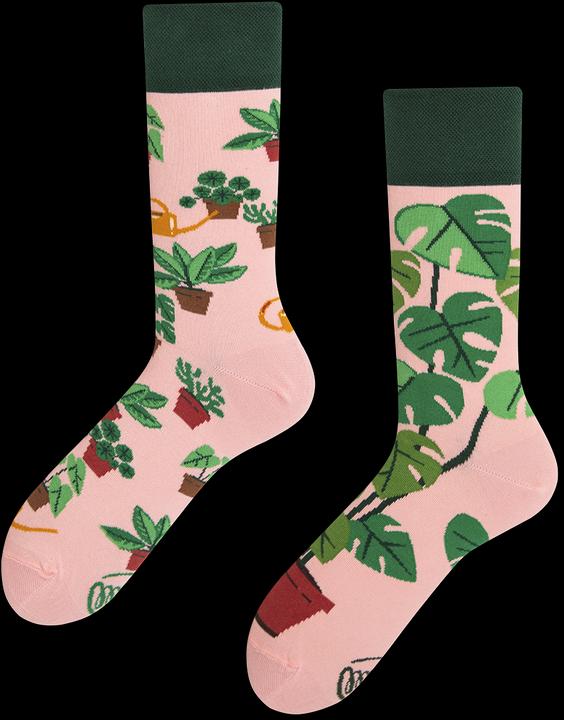 Many Mornings Plant Lover