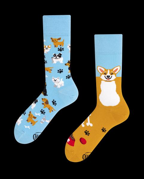 Image du produit Many Mornings Playful Dog (Chien joueur) (Une unité par pack, 35 - 38)