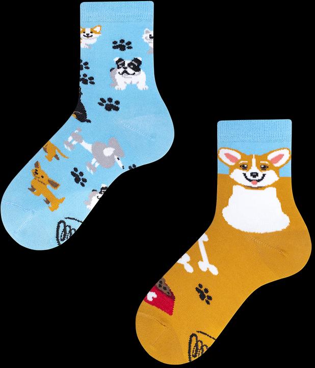 Produktbild Many Mornings Playful Dog (Einzelpack, 31 - 34)