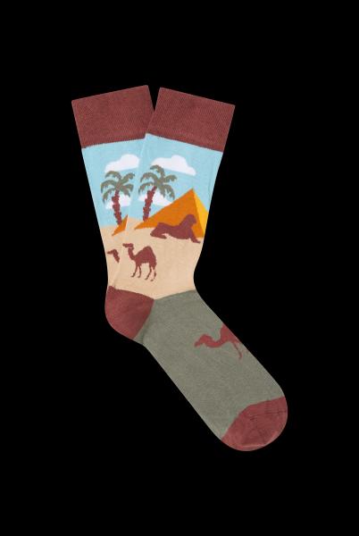 Produktbild Moustard Egypt (Einzelpack, 41 - 46)