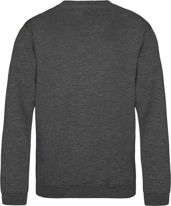 Image du produit Awdis Sweat-shirt Just Hoods (92)