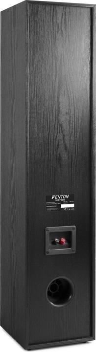 Actual product image Fenton SHF700B (1 pair, 200 W)