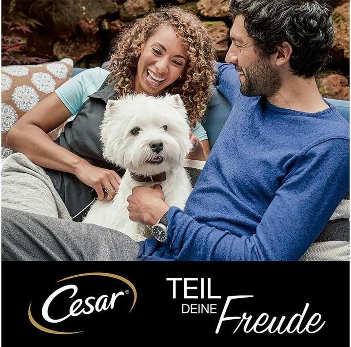 Produktbild Cesar Senior Multipack (Senior, 3 Stk., 1200 g)
