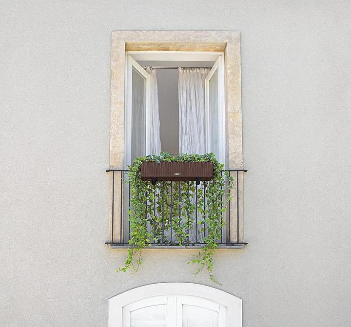 Image du produit Lechuza Balconera Cottage (19 cm)