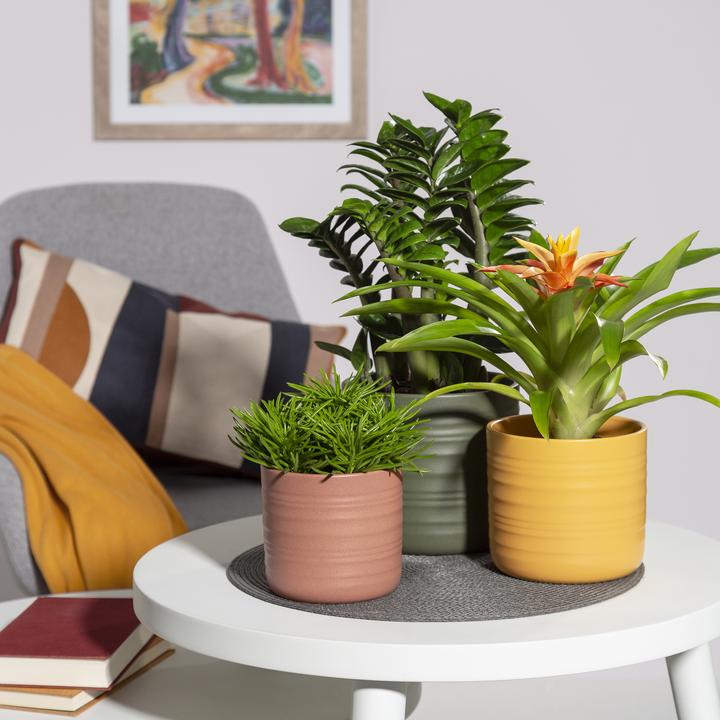 Produktbild Scheurich Cottage, Blumentopf aus Keramik, Farbe: Forest Green, 22,7 cm Durchmesser, 20,7 cm hoch (22.70 cm)