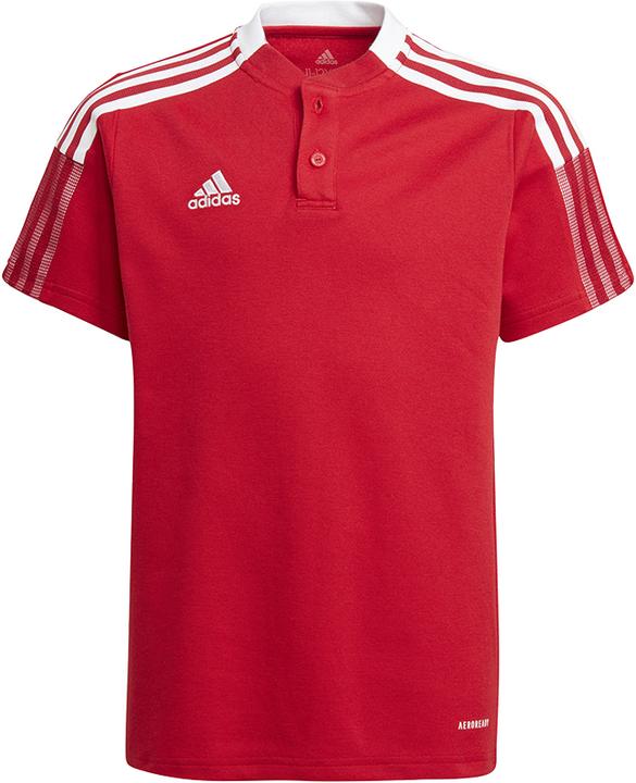 adidas Tiro 21 Polo Kinder (176)