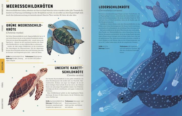 Immagine prodotto Das grosse Lexikon der Tiere (Tedesco, Jules Howard, Andreas cacciatore, Jarom Vogel, 2022)