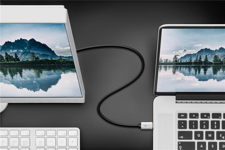 Produktbild Goobay USB-C auf DisplayPort Adapter (USB Typ-C, 200 cm)