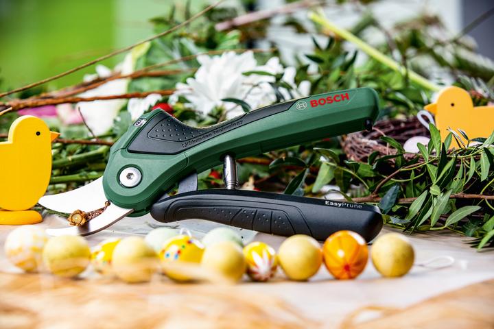 Actual product image Bosch Home & Garden EasyPrune