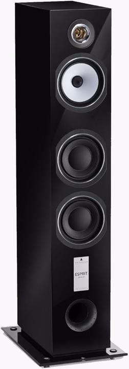 Actual product image Triangle Antal EZ (1 pair, 120 W)