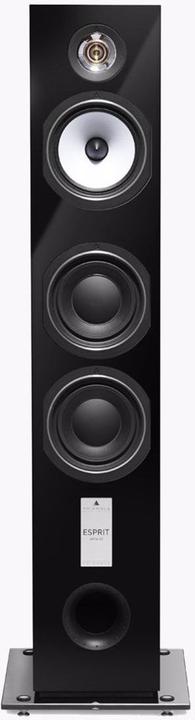 Actual product image Triangle Antal EZ (1 pair, 120 W)