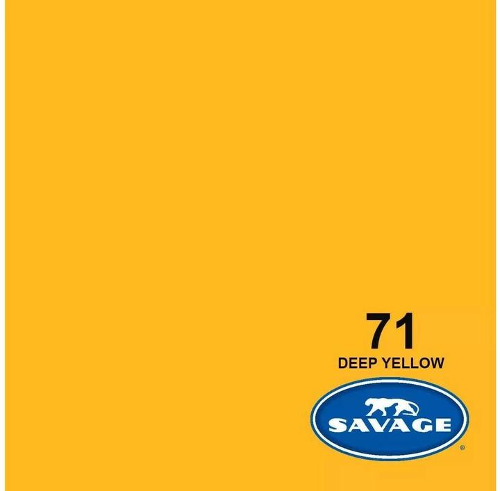 Immagine prodotto Savage Sfondo 2,72 x 11 m Giallo (272 cm, 1100 cm)