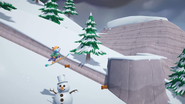 Image du produit Bandai Namco Paw Patrol (PS4, DE)
