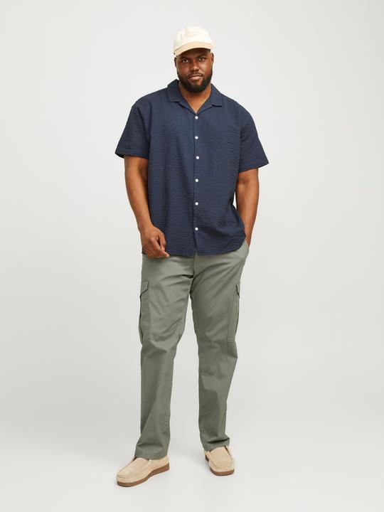 Actual product image Jack & Jones Jpstace Jjsummer Cargo Pls (W40/L34)