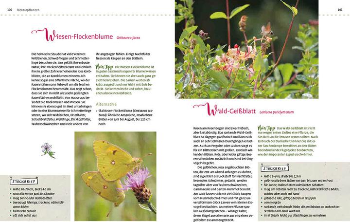 Actual product image Mein Schmetterlingsgarten (German, Elke Schwarzer, 2022)