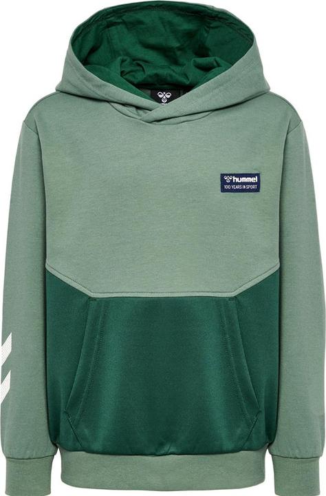 Image du produit hummel hmlEDDY HOODIE (128)