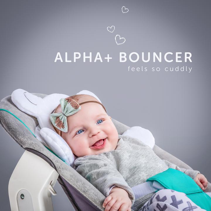 Actual product image Hauck Alpha bouncer 2 in 1