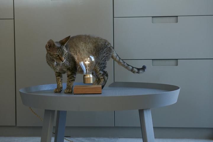 Actual product image Flyte Lamp Nikola Levitation (60 lm)