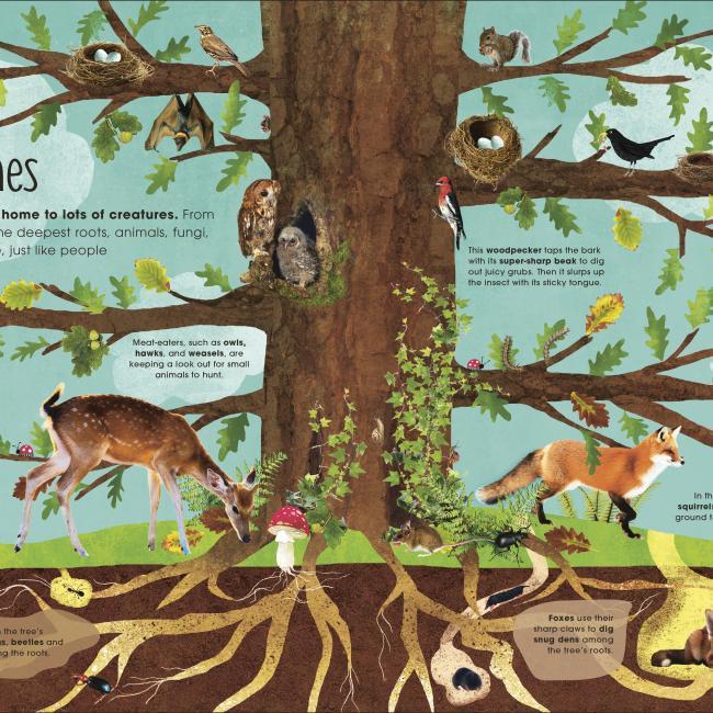 Immagine prodotto RHS The Magic and Mystery of Trees (Inglese, Jen Green, Claire McElfatrick, 2019)