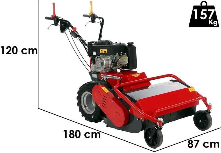 Actual product image Benassi TR 800 Professional hammer lawn mower B and S 3125E