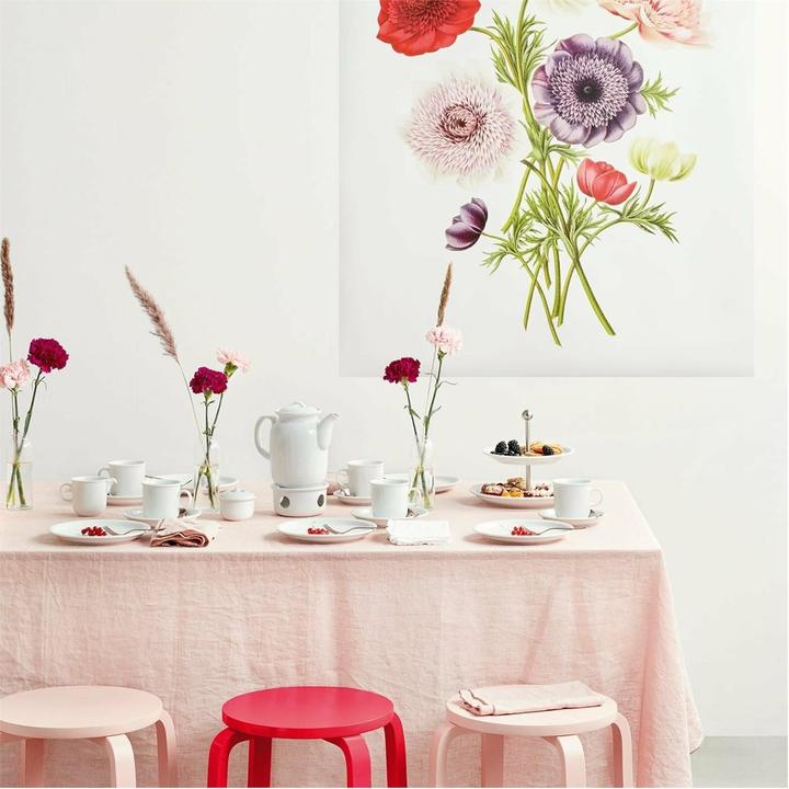 Image du produit Thomas Soucoupe - Tendance Blanc