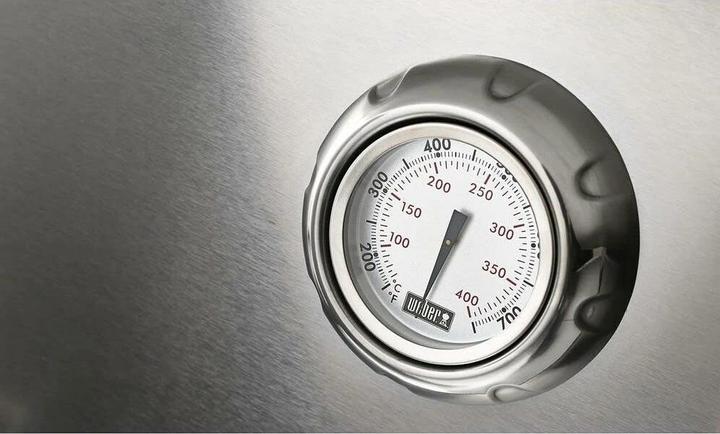 Image du produit Weber Spirit SP-335 Premium GBS (9.38 kW)