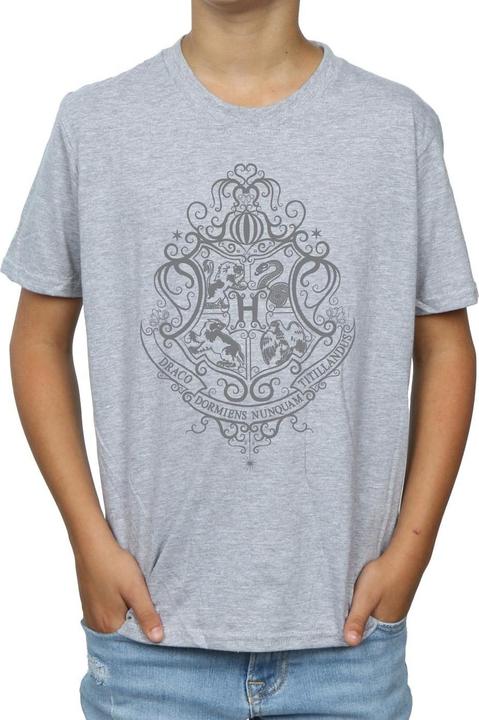 Actual product image Boys Hogwarts Draco Dormiens Crest T-Shirt (116)