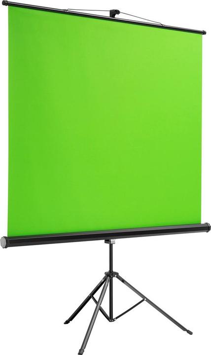 Actual product image Maclean Stand Green screen on parking lot, 92", 150x180cm, adjustable height, MC-931 (92", 4:3)
