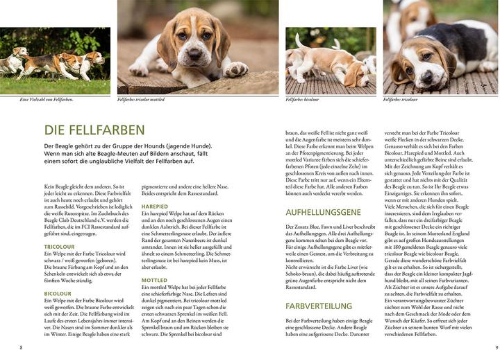 Produktbild Kosmos Beagle (Deutsch, Ursula Christian, 2024)