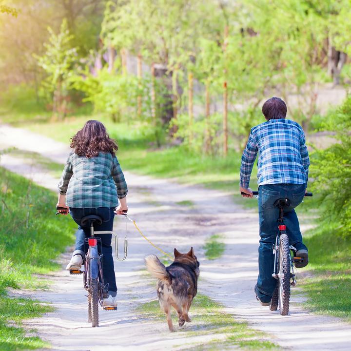 Produktbild Relaxdays Fahrradleine (One Size, Hund, Fahrrad)