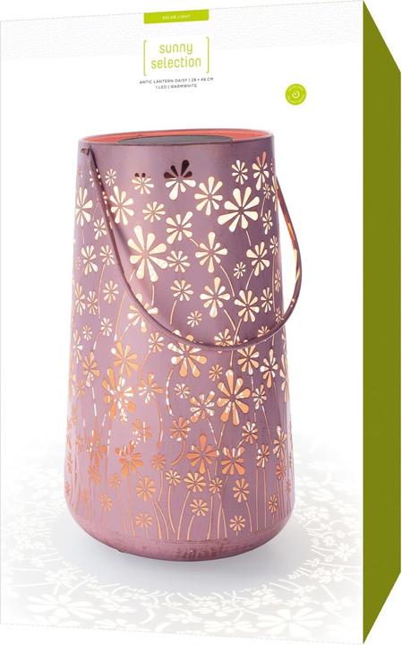 Image du produit STT Daisy