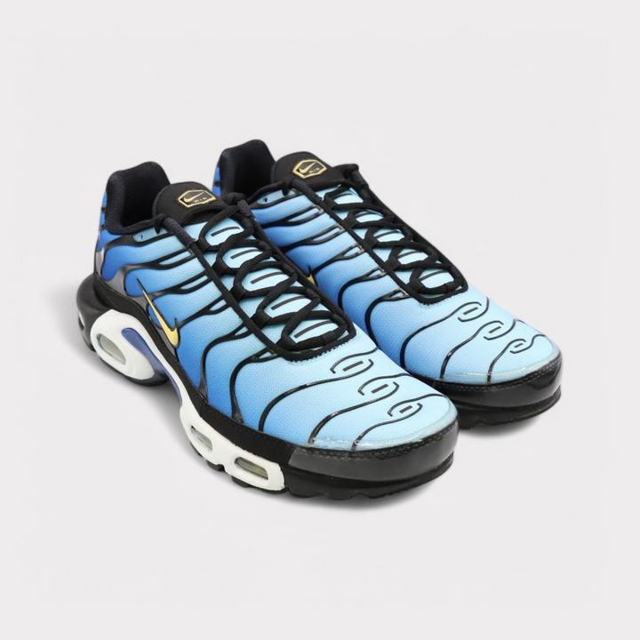 Image du produit Nike Air Max Plus OG (40.5)