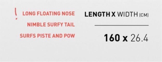 Actual product image Amplid Morning Glory (160)