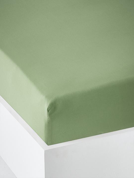 Vertbaudet Tension Bed Sheets (70 x 140 cm)