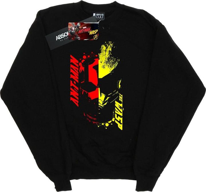 Produktbild Jungen AntMan Und Die Wespe Sweatshirt mit geteiltem Gesicht (140, 146)