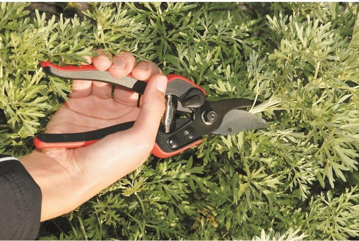 Image du produit Felco Cisailles à griffes