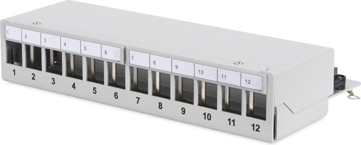 Actual product image Digitus Desktop Patch Panel,12-Port