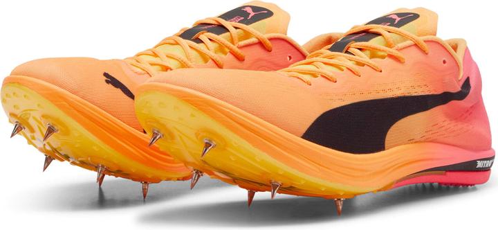Image du produit Puma evoSPEED Longue Distance Nitro Elite 2 (43)